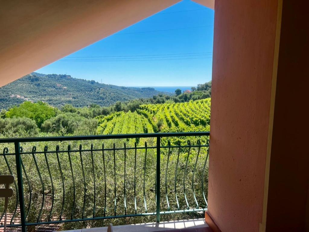 Agriturismo Ada Musso Ss Diano Borello المظهر الخارجي الصورة