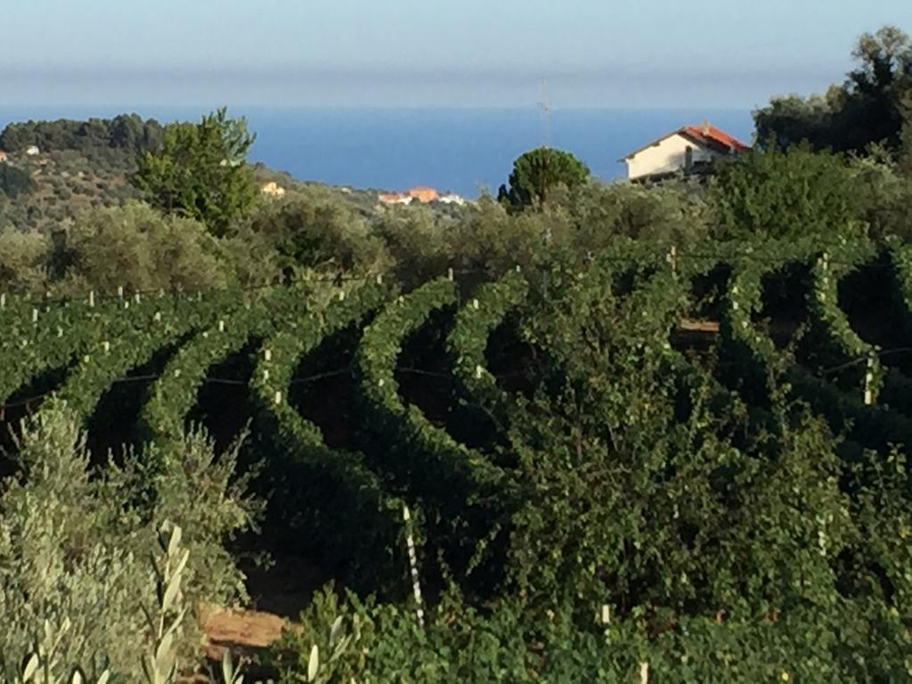 Agriturismo Ada Musso Ss Diano Borello المظهر الخارجي الصورة