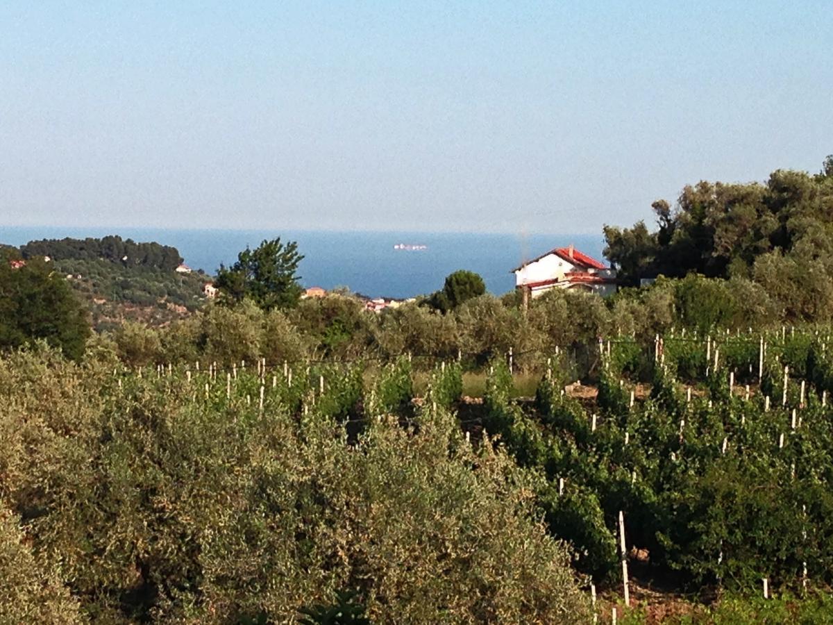 Agriturismo Ada Musso Ss Diano Borello الغرفة الصورة