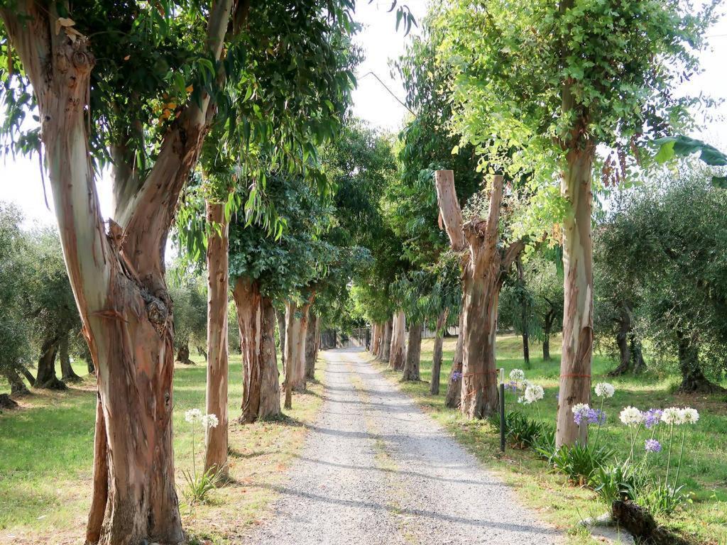 Agriturismo Ada Musso Ss Diano Borello المظهر الخارجي الصورة