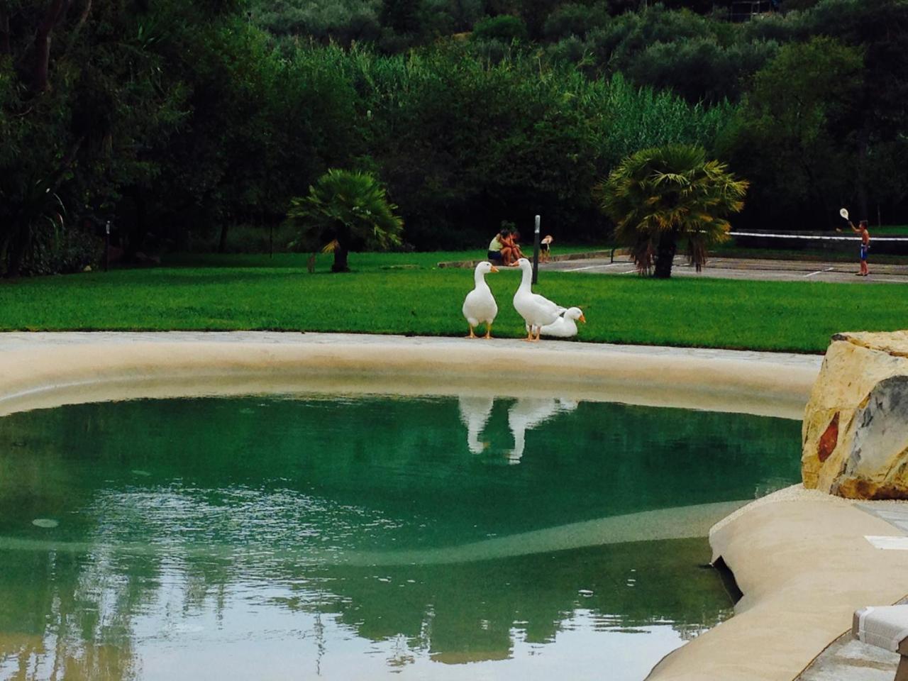 Agriturismo Ada Musso Ss Diano Borello المظهر الخارجي الصورة
